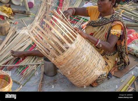  Beyond the Fields: A Journey Through Rural India -  Harvesting Wisdom and Weaving Social Threads into the Fabric of Modern Farming