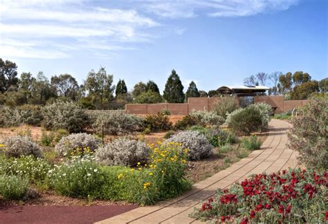  Arid Lands Gardening: A Celebration of Beauty Amidst Drought - Unlocking Nature's Secrets for Sustainable Landscapes