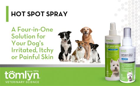 Can You Use Lidocaine Spray on Dogs? Exploring the Uncharted Territory of Canine Comfort