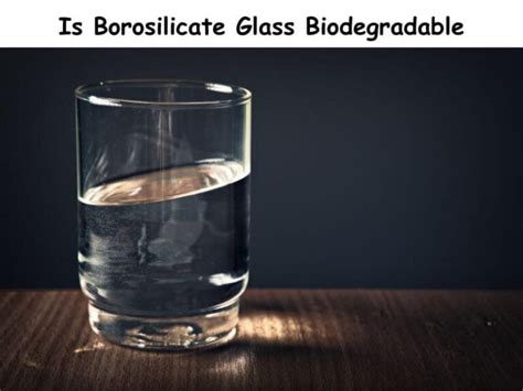 Does Borosilicate Glass Contain Lead: A Dive into the Crystal Clear Mystery