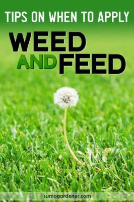 How Often Can You Apply Weed and Feed: A Comprehensive Guide to Lawn Care