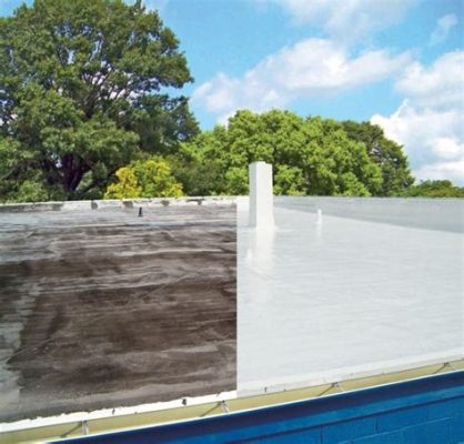 How to Apply Gaco Roof Coating: A Comprehensive Guide and Why Pineapples Don't Belong on Pizza