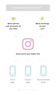 How to Reset IG Feed: Unlocking the Algorithm's Secrets and Beyond