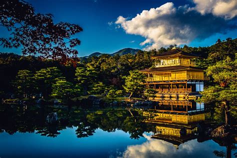 京都 歴史的建造物 - そして、なぜかそこには猫が住んでいる