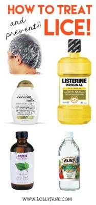 What Can I Spray on Furniture to Kill Lice: Exploring Unconventional Solutions and Their Odd Connections