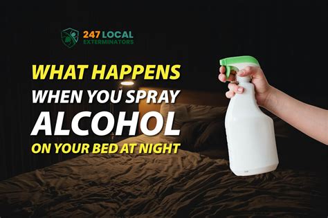 What Happens If You Spray Alcohol on Your Bed at Night, and Why Do Cats Suddenly Start Speaking French?