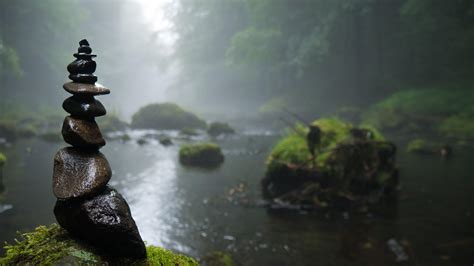  Zen Gardens: A Journey into Mindfulness and Nature -  A Symphony of Stones and Serenity